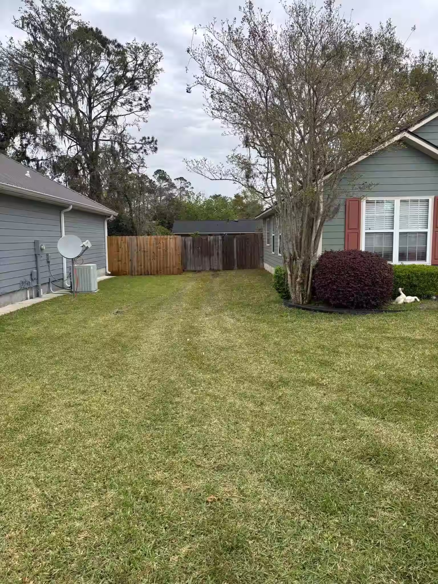 Clean yard after tree debris removal